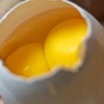 Çift sarılı yumurta(Yaşlı anneyi şehit oğlu'nun asker arkadaşları ziyaret  eder)