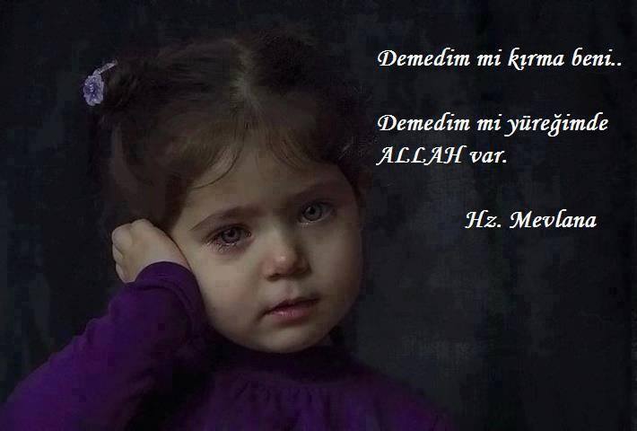 [Resim: MEVLANA-DEMED%C4%B0MM%C4%B0.jpg]